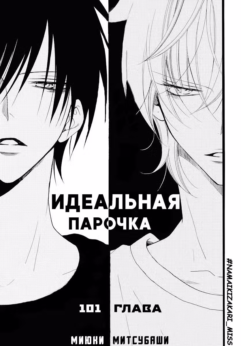 Идеальная парочка Том 17. Глава 101 page 1