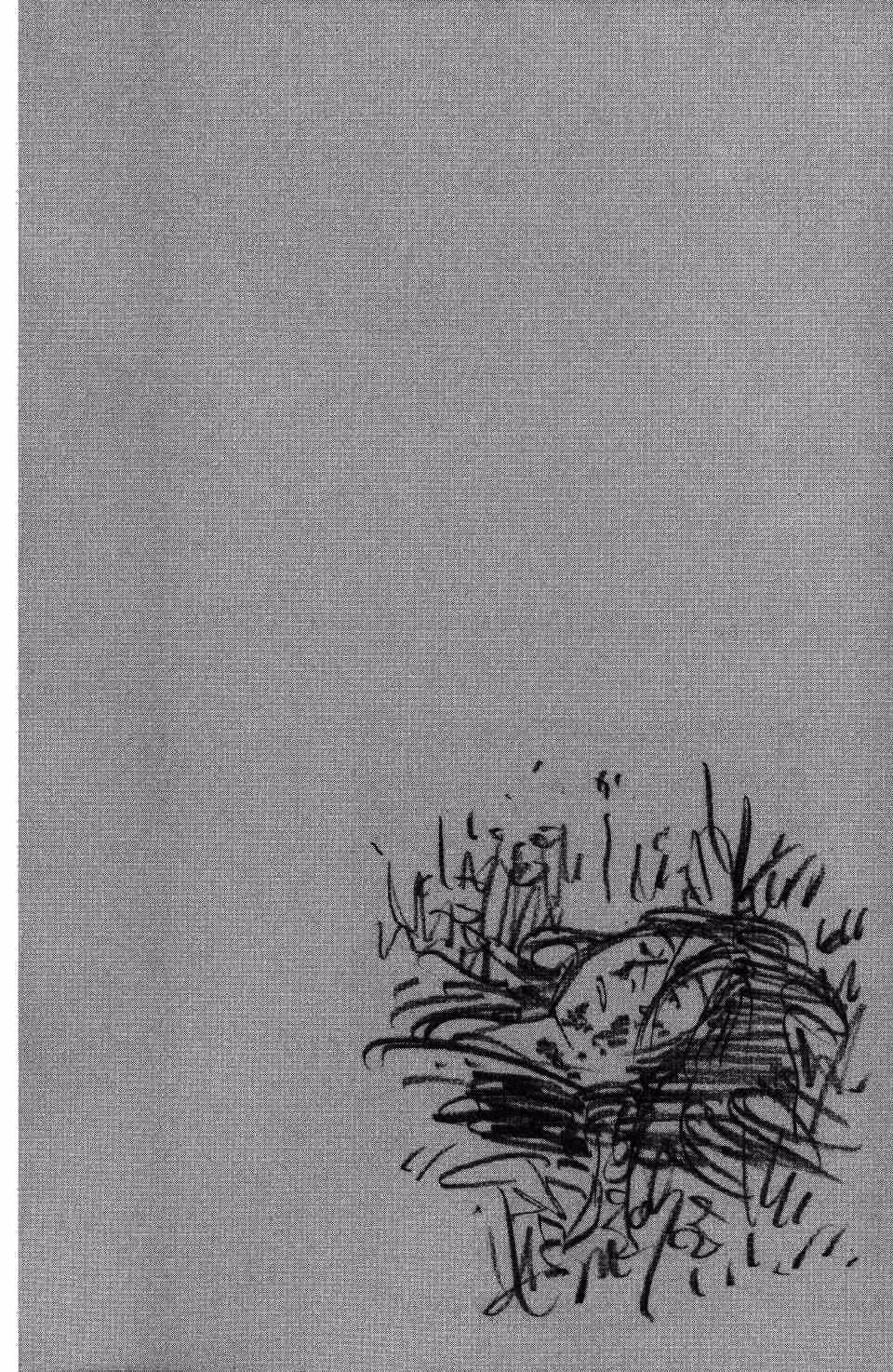 Бродяга Том 32. Глава 286 page 14