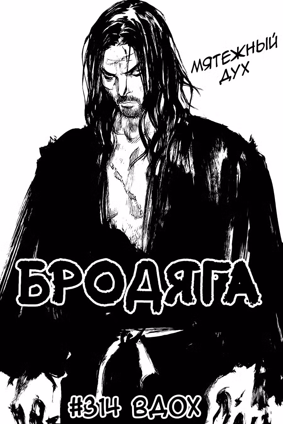 Бродяга Том 36. Глава 314 page 1