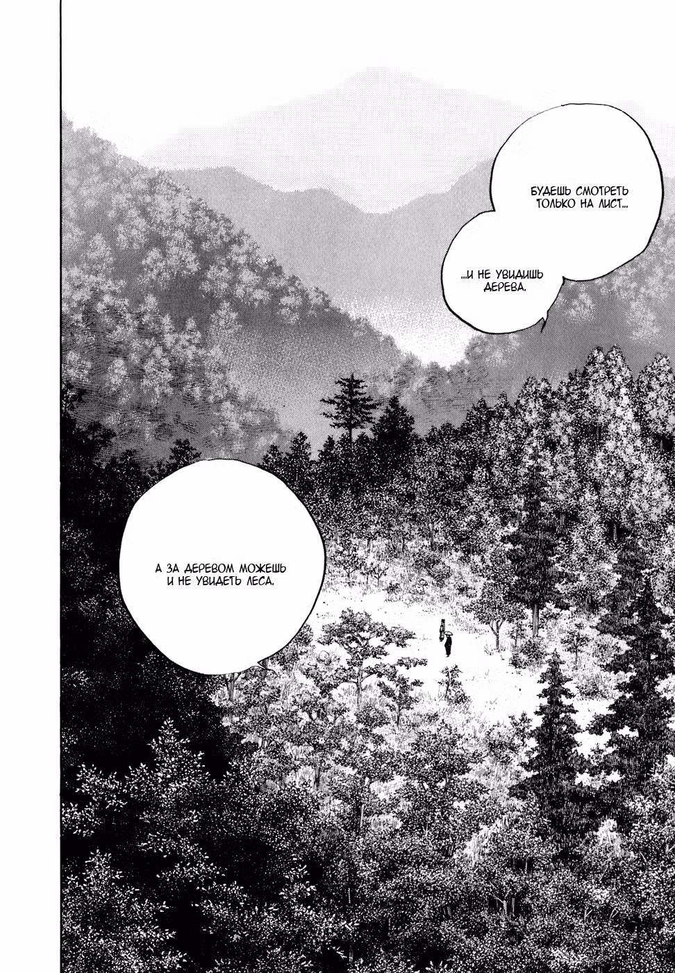 Бродяга Том 4. Глава 35 page 17