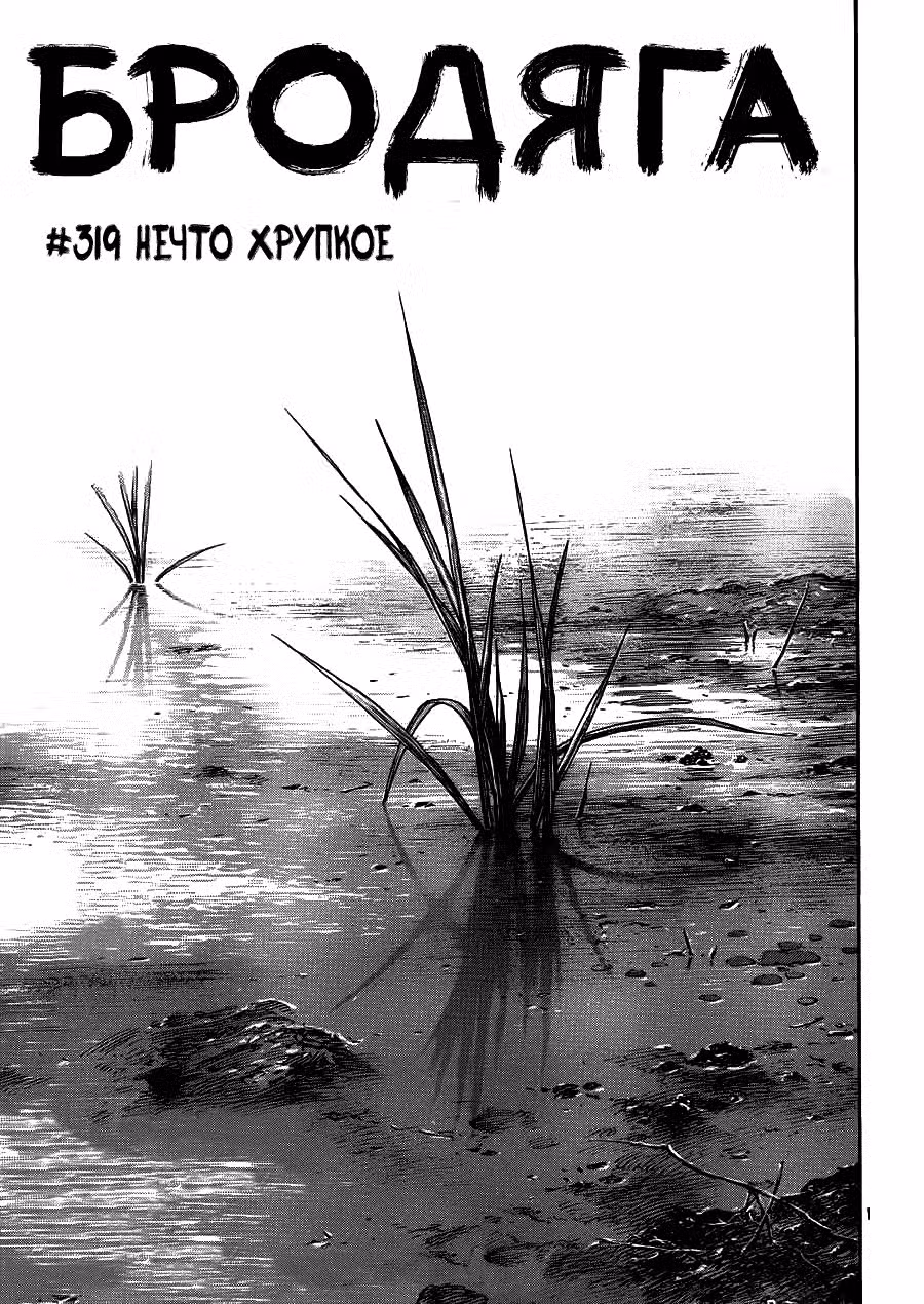 Бродяга Том 37. Глава 319 page 2