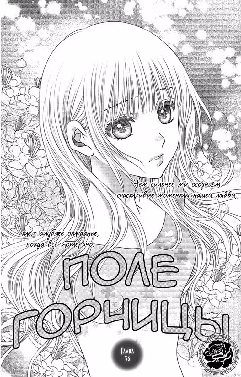 Поле горчицы Том 6. Глава 36 page 1