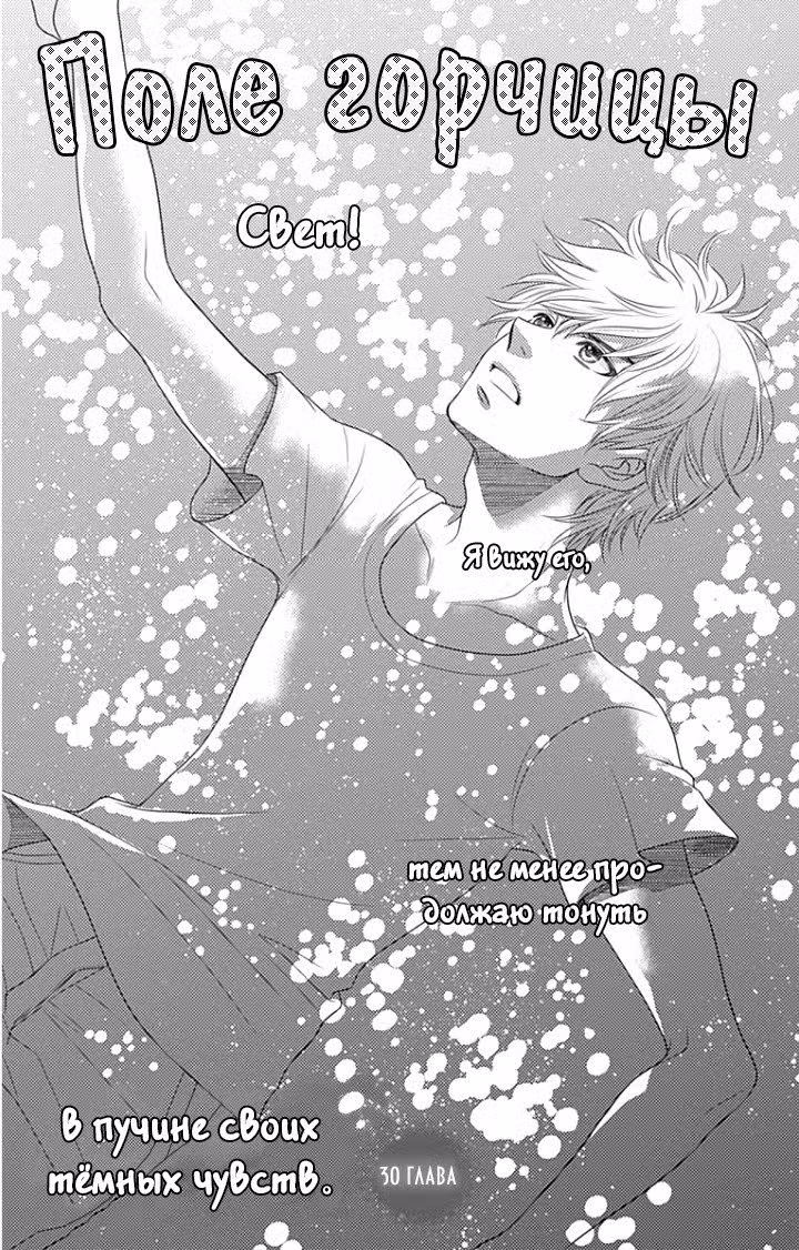 Поле горчицы Том 5. Глава 30 page 1