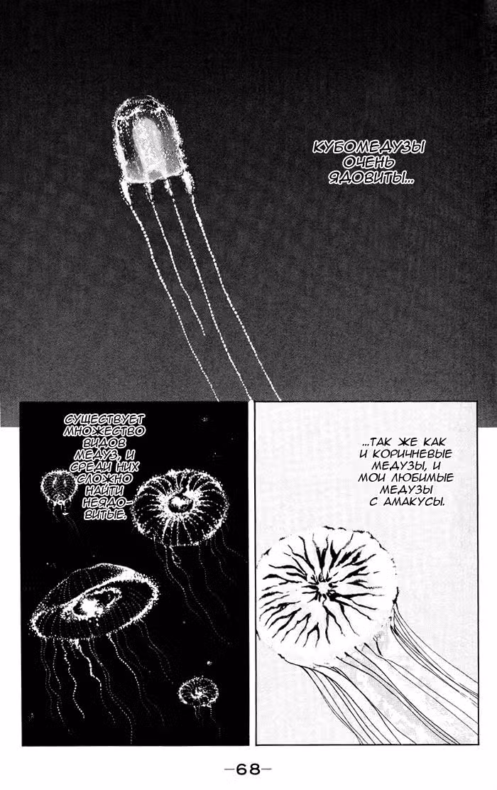 Принцесса-медуза Том 11. Глава 57 page 2