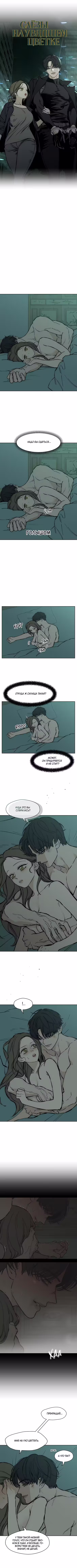 Слёзы по увядшему цветку Том 1. Глава 40 page 5